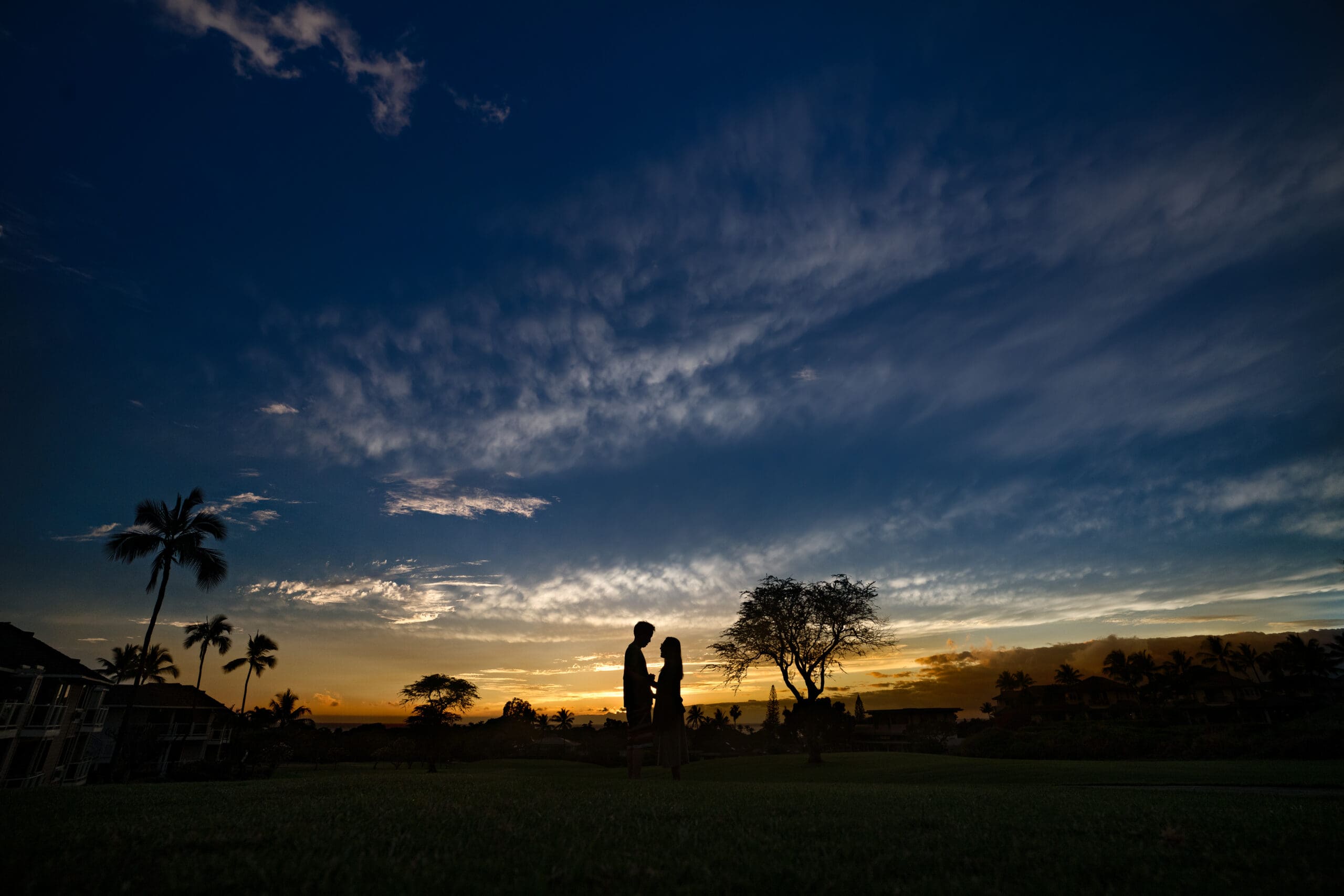 Silhouetted couple standing together at sunset beneath a dramatic sky with palm trees and golden light